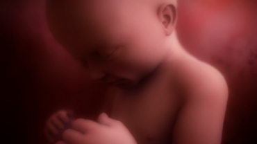 Pregnancy Week by Week: 29 Weeks Pregnant