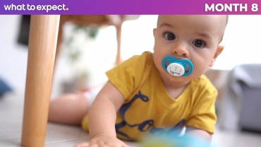 8-Month-Old Baby - What to Expect