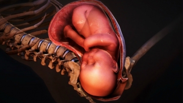 Amniotic Sac: What Happens When Your "Water Breaks"