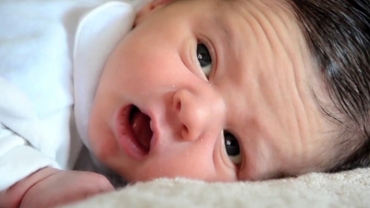 Babies Are Smarter Than You Think