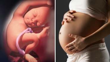Fetal Development: Your Baby's Growth During the Third Trimester