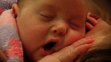 We Kangaroo - Do You?