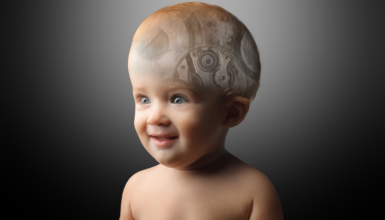 How Baby Brains Develop