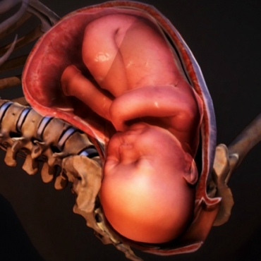 Amniotic Sac: What Happens When Your "Water Breaks"