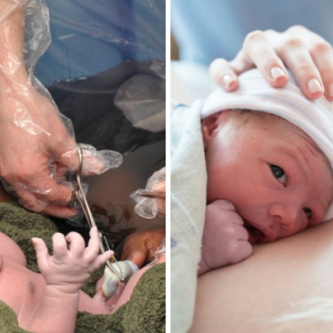 Birth Knowledge: Care Practices at the Time of Birth