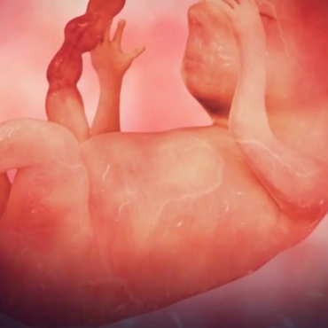 Pregnancy Week 12 - Three Months Pregnant