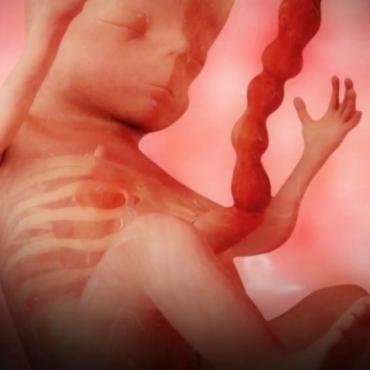 Pregnancy Week 16 - Four Months Pregnant