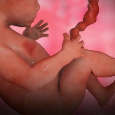 Pregnancy Week 21 - Five Months Pregnant