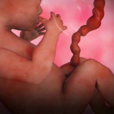 Pregnancy Week 22 - Five Months Pregnant