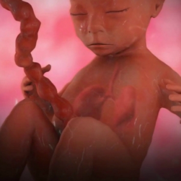 Pregnancy Week 25 - Six Months Pregnant