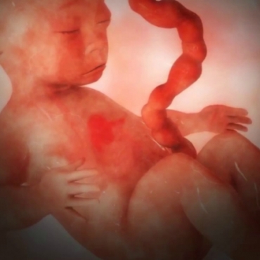 Pregnancy Week 28 - Seven Months Pregnant