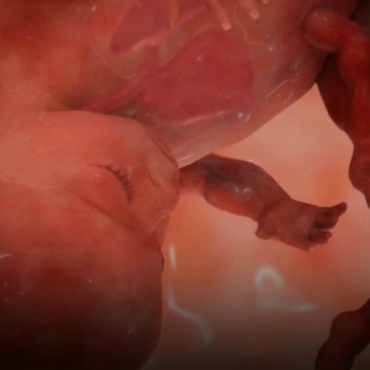 Pregnancy Week 33 - Eight Months Pregnant