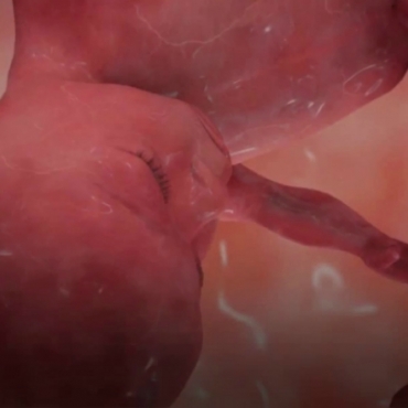 Pregnancy Week 38 - Nine Months Pregnant