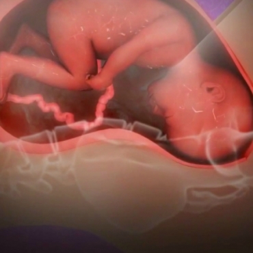 Pregnancy Week 40 - Childbirth