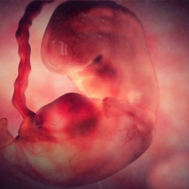 Pregnancy Week 6 - Two Months Pregnant