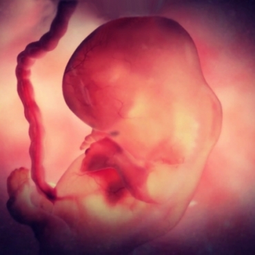 Pregnancy Week 7 - Two Months Pregnant