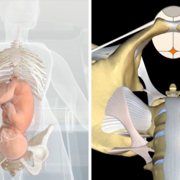 The Second Stage of Labor: Pushing and Giving Birth