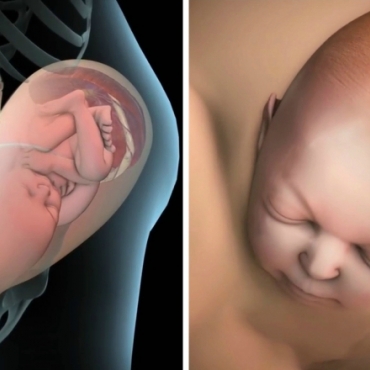 Vaginal Childbirth: How the Process of Labor and Delivery Happens?