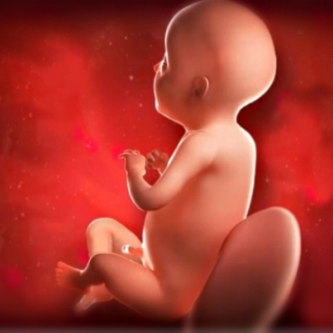 What is Happening at 27 Weeks Pregnant?