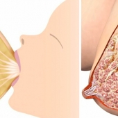 How Does Breast Milk Production Work?